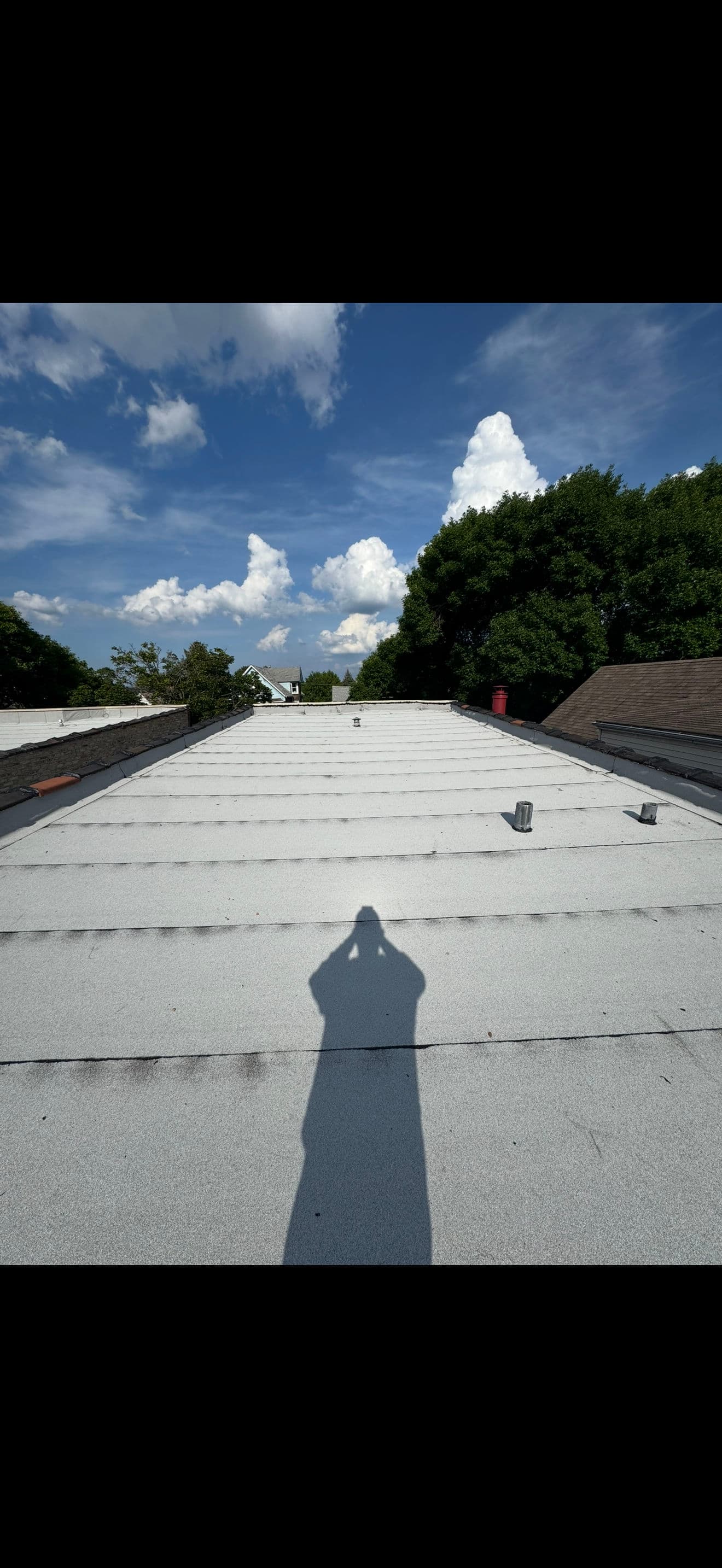 Project Flat Roof Replacement in Oak Park IL image